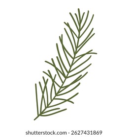 Branche de pin dans un style dessiné à la main. Décoration de Nature pour cadres de Noël et couronnes. Symboles sapins. Fêtes de rameaux plats verts