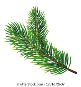 Pine tree branch icon. Realistic illustration of pine tree branch vector icon for web design isolated on white background