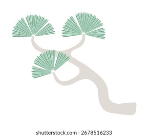 Pine tree branch isolated on transparent background. Hand drawn vector illustration. Flat design. Traditional Asian Lunar New Year, Korean symbol, national plant. Botanical clip art