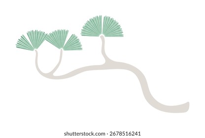 Pine tree branch isolated on transparent background. Hand drawn vector illustration. Flat design. Traditional Asian Lunar New Year, Korean symbol, national plant. Botanical clip art