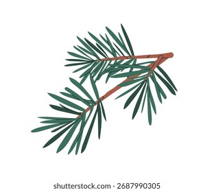 Pine tree branch with needles. Evergreen conifer twig, natural seasonal design element. Green coniferous fir sprig, winter forest decoration. Flat vector illustration isolated on white background