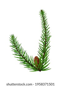 Pine tree branch with one cone isolated on white background