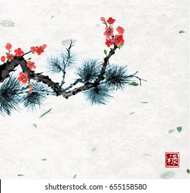 Pine tree branch and sakura in blossom on rice paper background. Traditional oriental ink painting sumi-e, u-sin, go-hua. Contains hieroglyph - well-being
