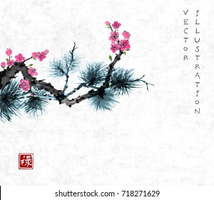 Pine tree branch and sakura in blossom. Traditional oriental ink painting sumi-e, u-sin, go-hua. Contains hieroglyph - well-being