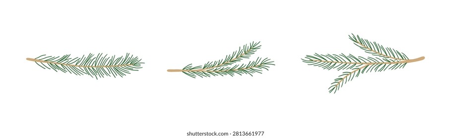 Pine tree branch set doodle vector illustration. Line, silhouette modern illustration. Fir twigs with green needles isolated on white background. Christmas tree, evergreen decoration, spruce elements.
