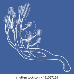 Pine tree branch vector illustration on blue background