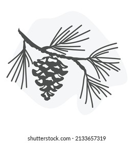 pine tree branch vector sketch illustration