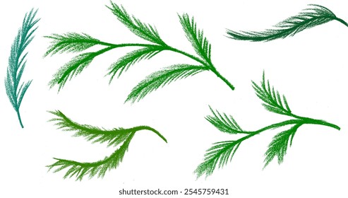 Pine Tree Branches Christmas Drawing Crayon Chalk Vector