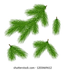 Pine tree branches. Christmas fir tree branch. Vector xmas decorarion elements. Illustration of pine tree, fir evergreen branch.Eps10.