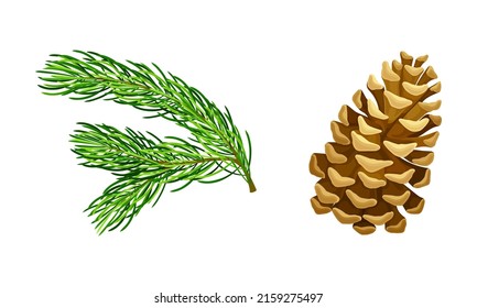 Pine tree branches and cone. Christmas decoration element cartoon vector illustration