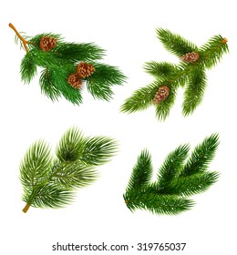 Pine tree branches with cones for chrismas decorations 4  icons set composition banner  realistic abstract vector illustration
