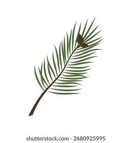 Ramos de pinheiro com agulhas verdes e ilustração cones