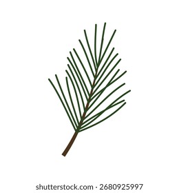 Ramos de pinheiro com agulhas verdes e ilustração cones