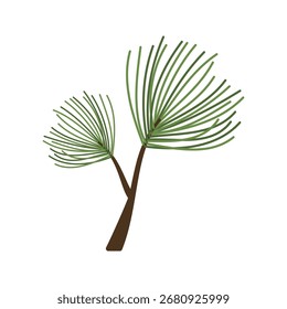 Ramos de pinheiro com agulhas verdes e ilustração cones