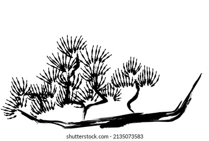 Pine tree branches in ink painting style