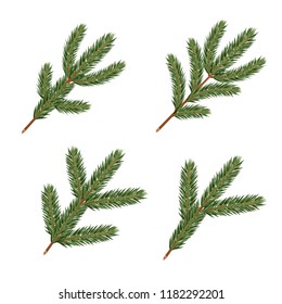 Pine tree branches. Realistic xmas decoration elements.
