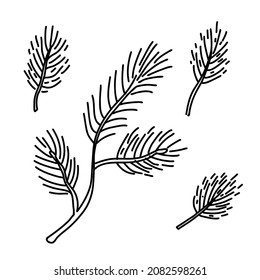 Pine tree branches set. Hand drawn vector illustration isolated on white. Great for xmas and New year greeting cards, posters.	