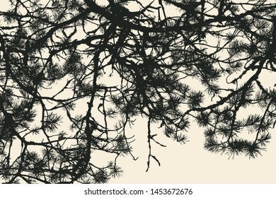 pine tree and branches silhouette. detailed vector illustration