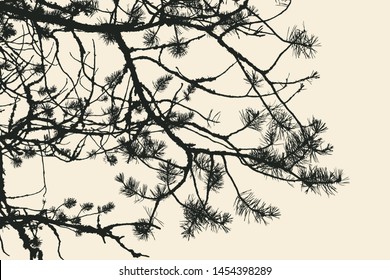 pine tree and branches silhouette. detailed vector illustration