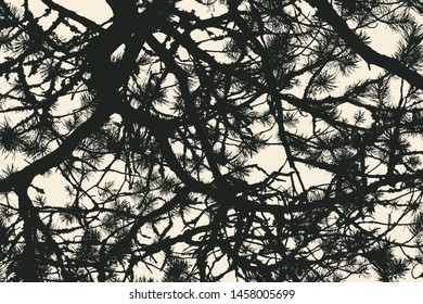 pine tree and branches silhouette. detailed vector illustration