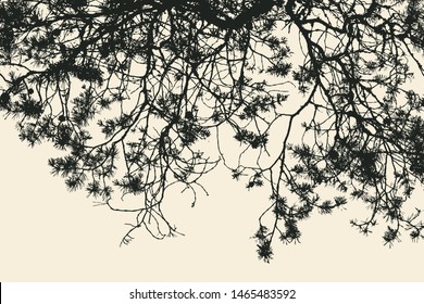 pine tree and branches silhouette. detailed vector illustration