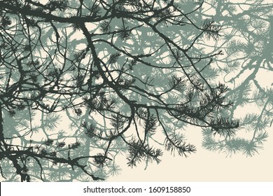 pine tree and branches silhouette. detailed vector illustration