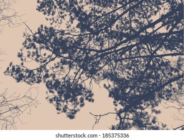 pine tree and branches silhouette. detailed vector illustration 