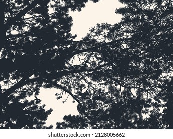 Pine tree and branches silhouette. detailed vector illustration