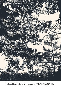 Pine tree and branches silhouette. detailed vector illustration