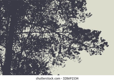 pine tree and branches silhouette. detailed vector illustration