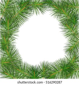 Pine tree branches. spruce, needles. frame. vector illustration. composition banner. 