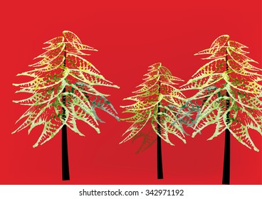 Pine tree brush strokes watercolor design ,vector 