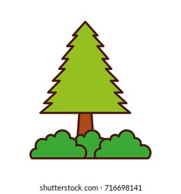 pine tree bushes forest natural flora image