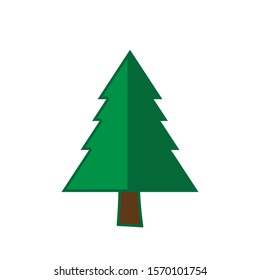 Pine Tree For Christmas and Winter