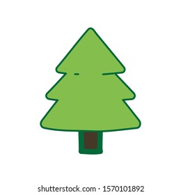 Pine Tree For Christmas and Winter