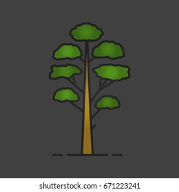 Pine tree color icon. Conifers. Forestry. Forest tree. Isolated vector illustration