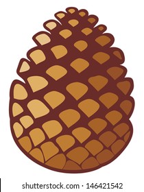 pine tree cone