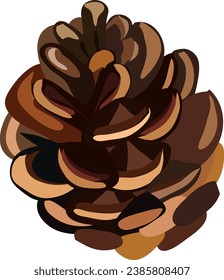 Pine tree cone branch Vector illustration. Christmas and New Year decor. Winter holidays design elements. Pine. Eps 10
