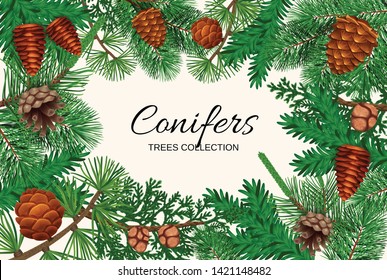 Pine tree cone frame composition with empty space for ornate text surrounded by fir needle images vector illustration