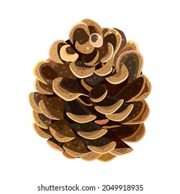 Pine tree cone isolated on white background. Single open fir cone. Brown dry cedar cone icon. Spruce bud. Christmas or autumn holiday design element. Object for winter design.Stock vector illustration