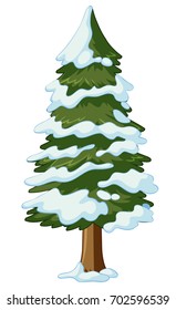 Pine tree covered with snow illustration