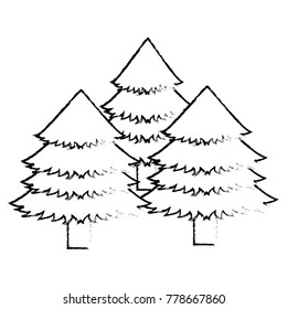 Pine tree design