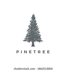 Pine tree design logo vector, Evergreen logo design vector illustration.