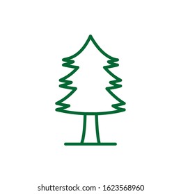 Pine tree design, Nature plant winter season environment natural and ecology theme Vector illustration