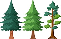 Pine Tree In Different Shapes Illustration