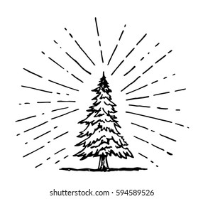 Pine Tree Drawing In Doodle Style With Sun Ray Surrounding