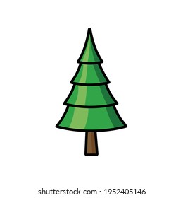 Pine tree in drawing style isolated vector. Hand drawn object illustration for your presentation, teaching materials or others.