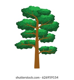 Pine tree, element of a landscape. Colorful cartoon vector Illustration