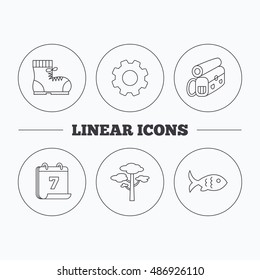 Pine tree, fish and hiking boots icons.