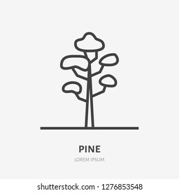 Pine tree flat line icon. Vector thin sign of evergreen plant, ecology logo. Nature illustration, forest symbol.